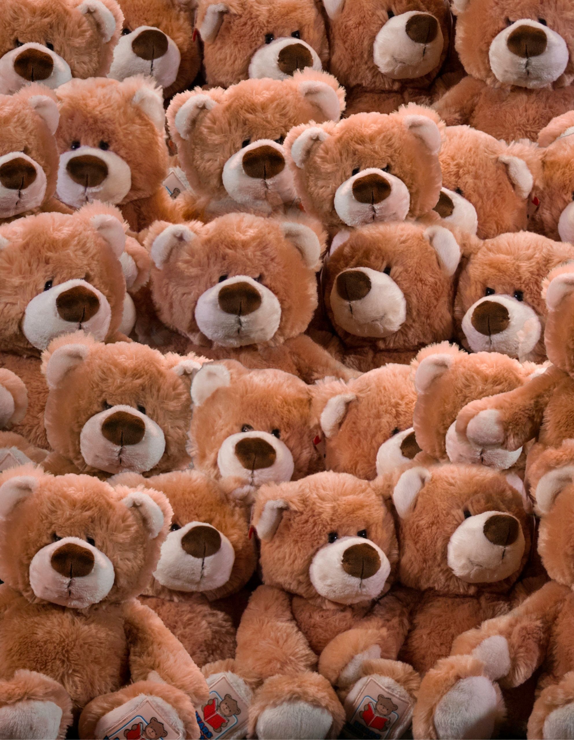 Bailey Bear Convention (1)